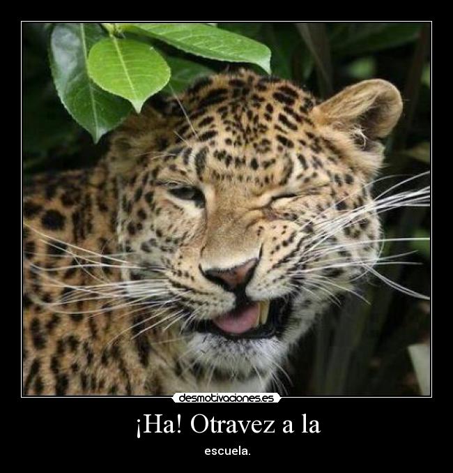 ¡Ha! Otravez a la - escuela.