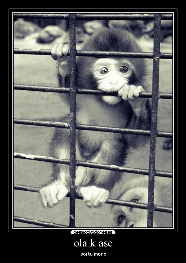 ola k ase - soi tu mono