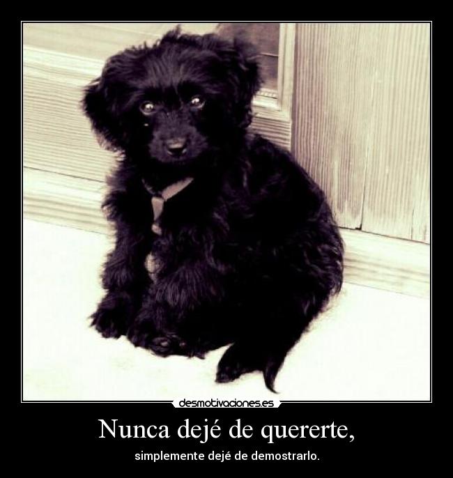 Nunca dejé de quererte, - simplemente dejé de demostrarlo.