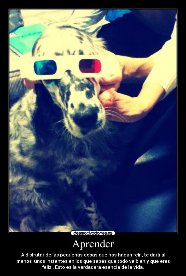 Aprender - A disfrutar de las pequeñas cosas que nos hagan reír , te dará al
menos  unos instantes en los que sabes que todo va bien y que eres
feliz . Esto es la verdadera esencia de la vida.