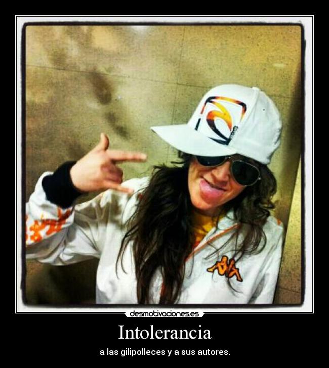 carteles intolerancia gilipolleces sus autores desmotivaciones