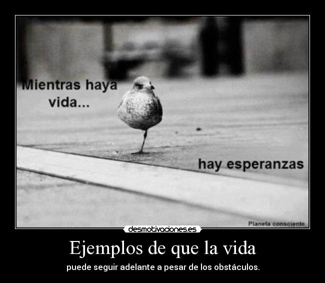 carteles vida vida esperanza desmotivaciones