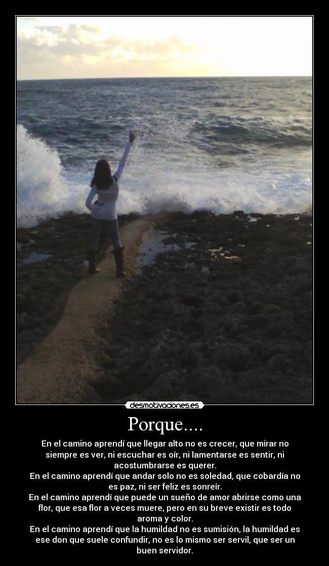 Porque.... - En el camino aprendí que llegar alto no es crecer, que mirar no
siempre es ver, ni escuchar es oír, ni lamentarse es sentir, ni
acostumbrarse es querer.
En el camino aprendí que andar solo no es soledad, que cobardía no
es paz, ni ser feliz es sonreír.
En el camino aprendí que puede un sueño de amor abrirse como una
flor, que esa flor a veces muere, pero en su breve existir es todo
aroma y color.
En el camino aprendí que la humildad no es sumisión, la humildad es
ese don que suele confundir, no es lo mismo ser servil, que ser un
buen servidor.