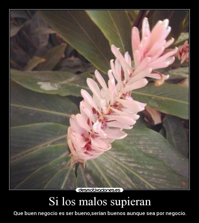 Si los malos supieran - Que buen negocio es ser bueno,serían buenos aunque sea por negocio.