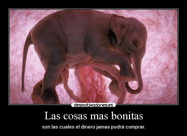 Las cosas mas bonitas -