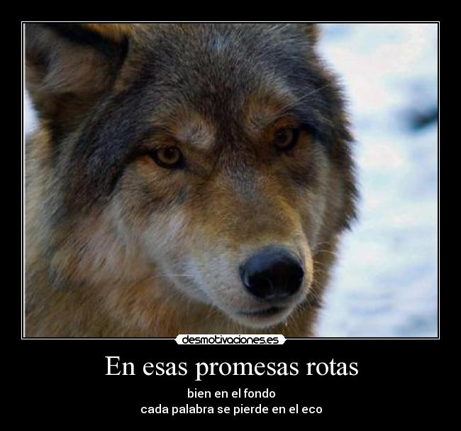 carteles promesas malaquita desmotivaciones