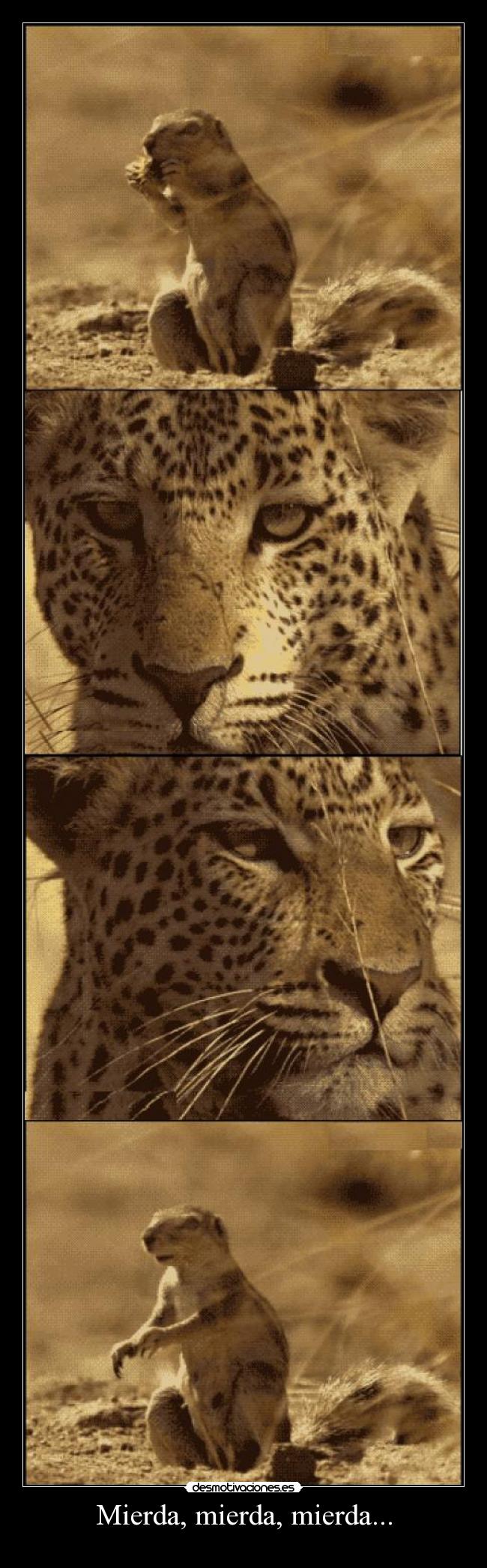 Mierda, mierda, mierda... -