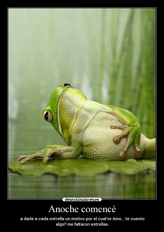 Anoche comencé - a darle a cada estrella un motivo por el cual te Amo... te cuento
algo? me faltaron estrellas.