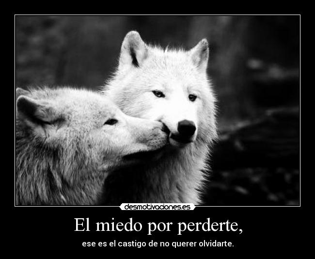 El miedo por perderte, -