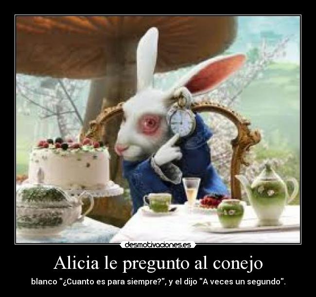 Alicia le pregunto al conejo -
