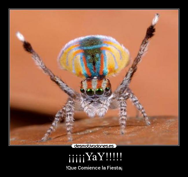 ¡¡¡¡¡YaY!!!!! -