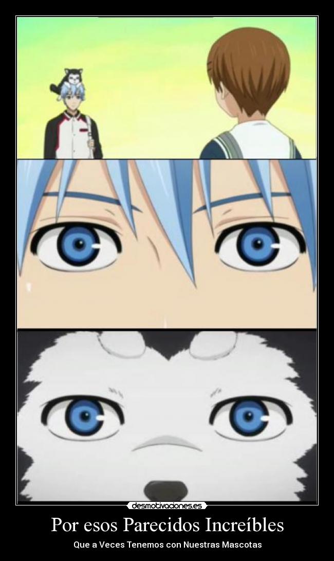 Por esos Parecidos Increíbles - Que a Veces Tenemos con Nuestras Mascotas