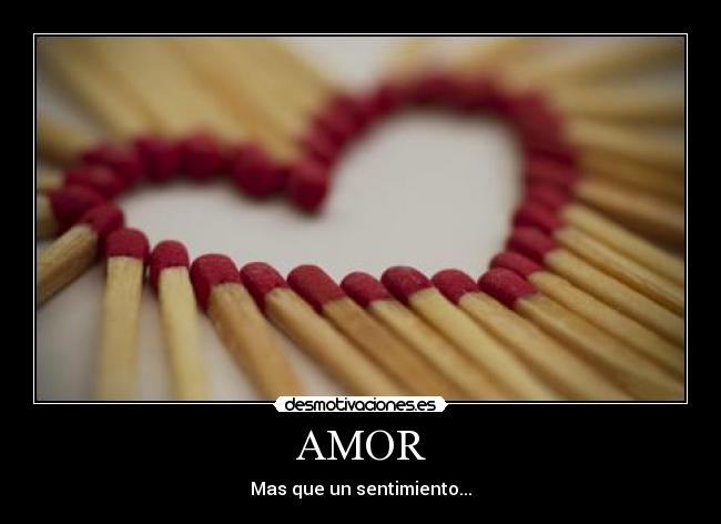 AMOR - 