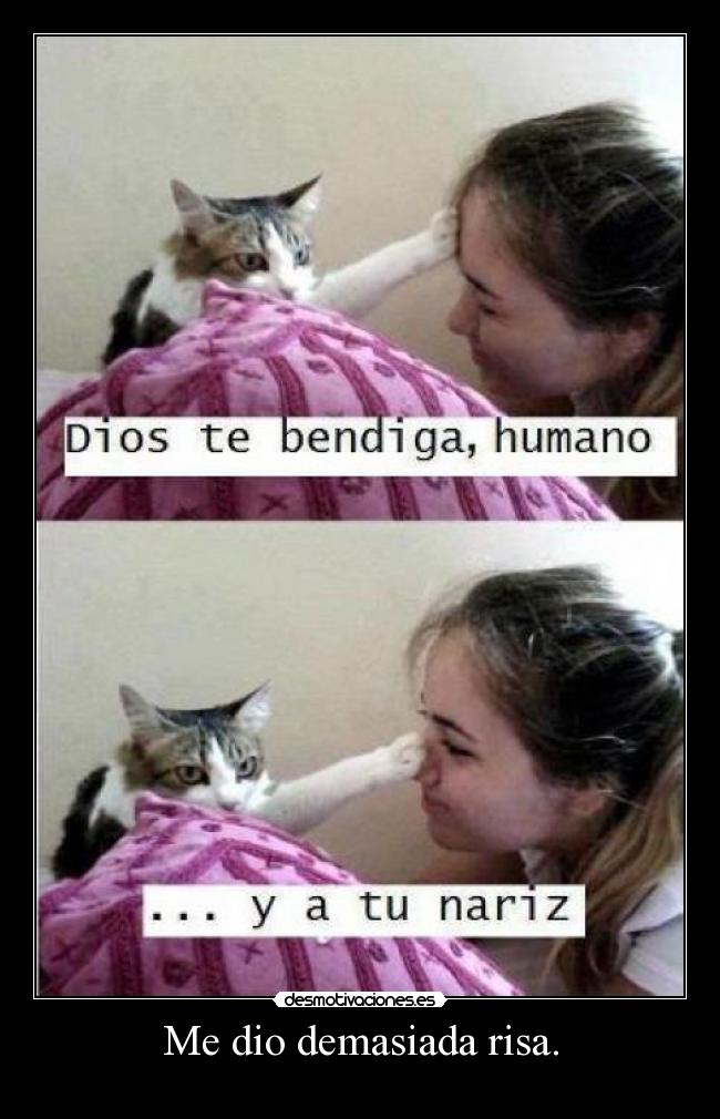 Me dio demasiada risa. -