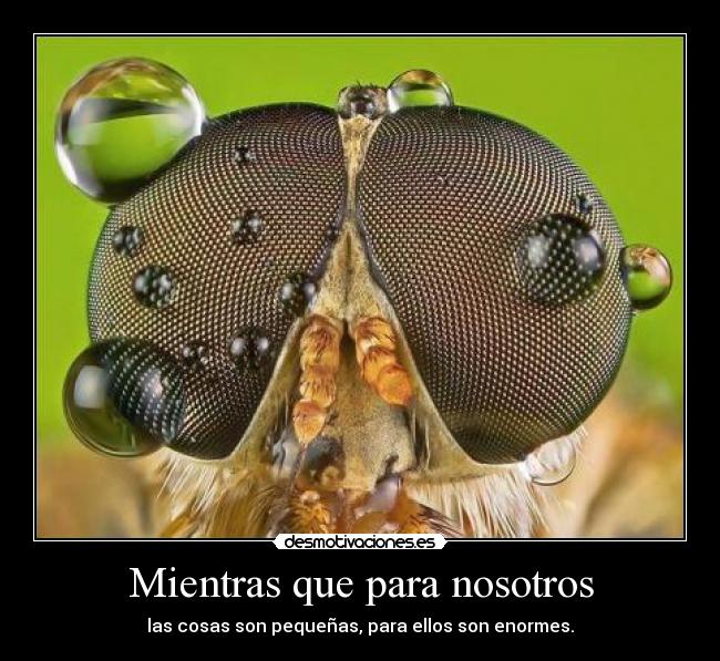 Mientras que para nosotros -