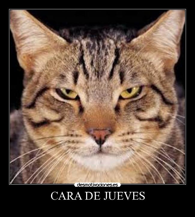 CARA DE JUEVES - 