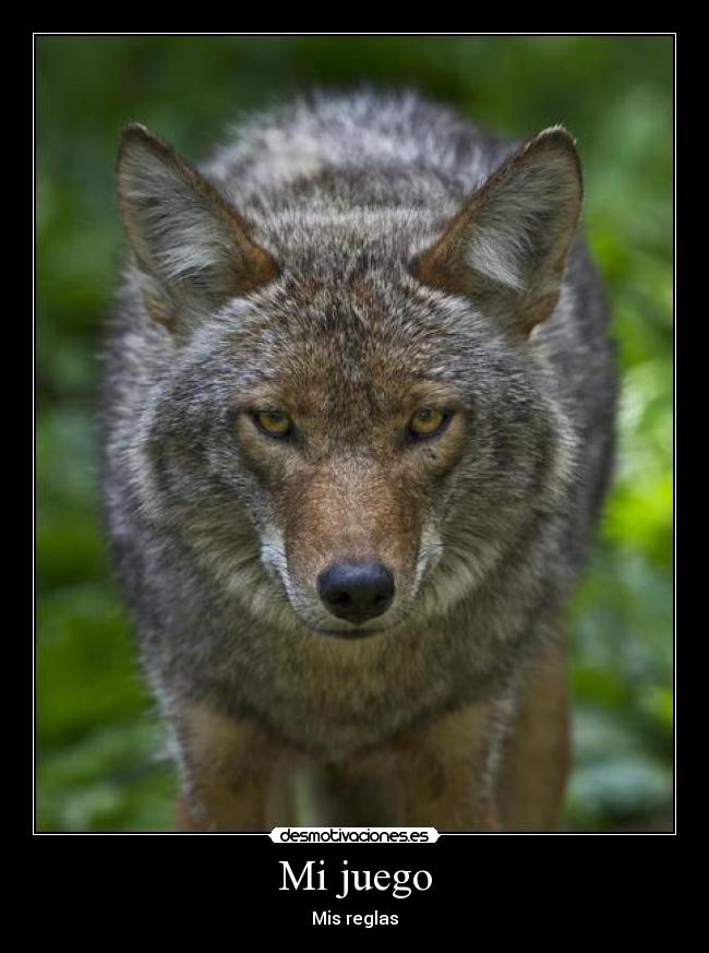 Mi juego -