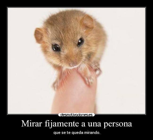 carteles lalala desmotivaciones