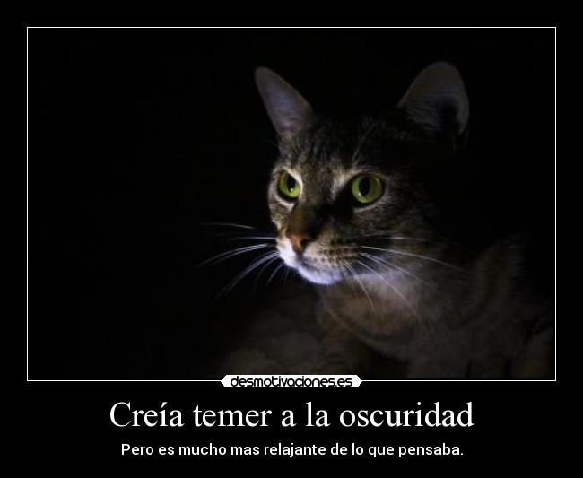 Creía temer a la oscuridad - Pero es mucho mas relajante de lo que pensaba.