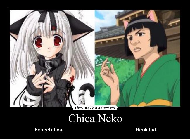 Chica Neko - 