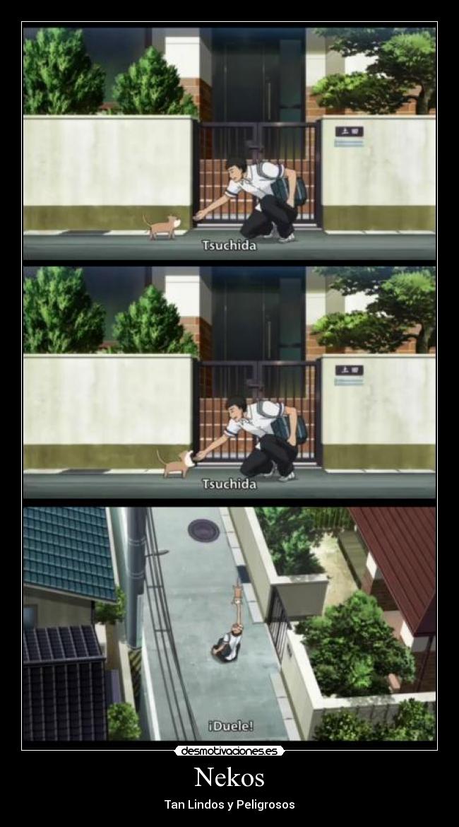 Nekos - Tan Lindos y Peligrosos