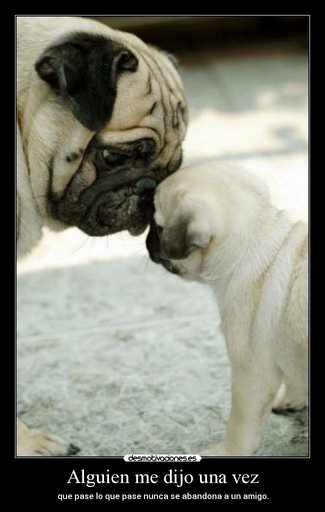 Alguien me dijo una vez - que pase lo que pase nunca se abandona a un amigo.