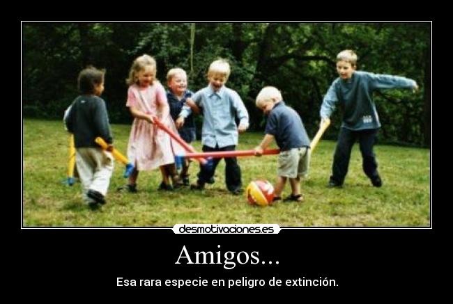 Amigos... - Esa rara especie en peligro de extinción.