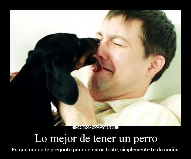 carteles derp desmotivaciones