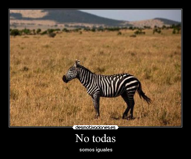 carteles malaquita que estas viendo una cebra negra con rayas blancas desmotivaciones