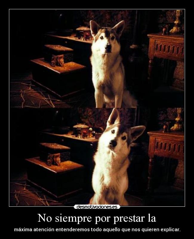 No siempre por prestar la -