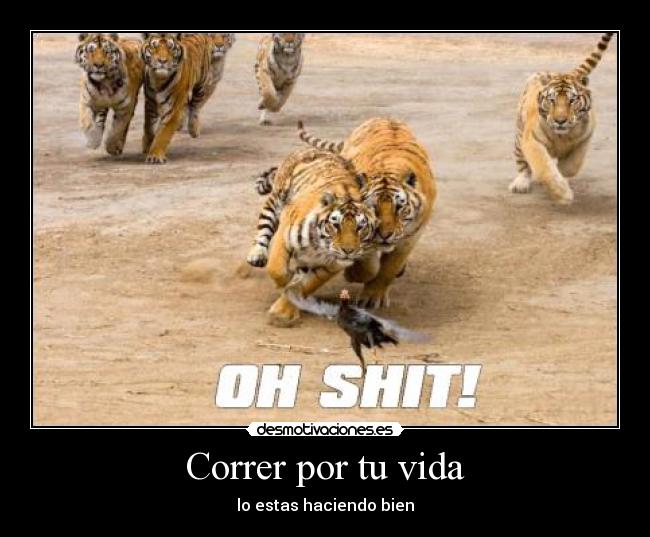 Correr por tu vida - lo estas haciendo bien