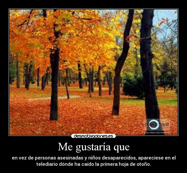 Me gustaría que - en vez de personas asesinadas y niños desaparecidos, apareciese en el
telediario dónde ha caído la primera hoja de otoño.