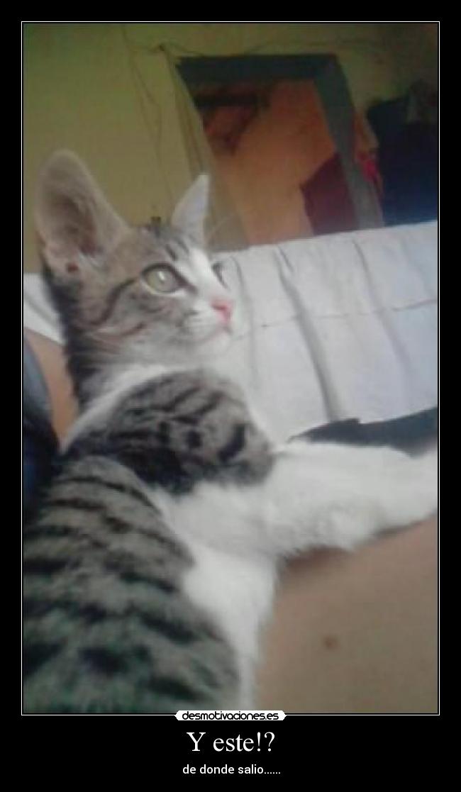 Y este!? - de donde salio......