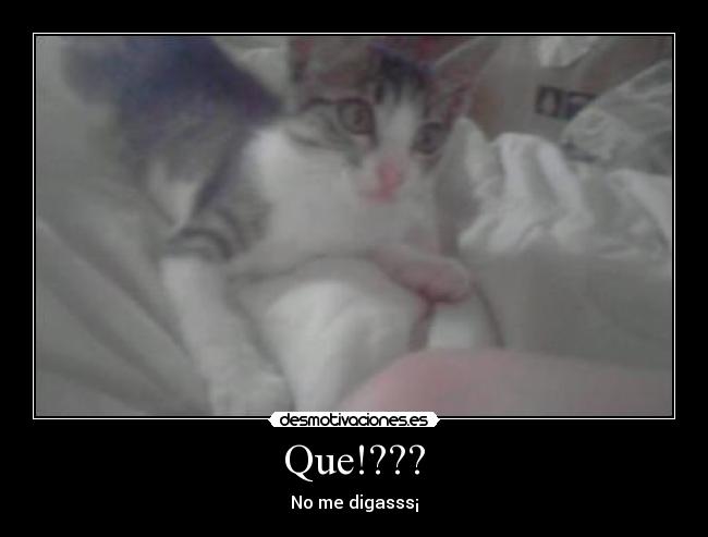 Que!??? - 