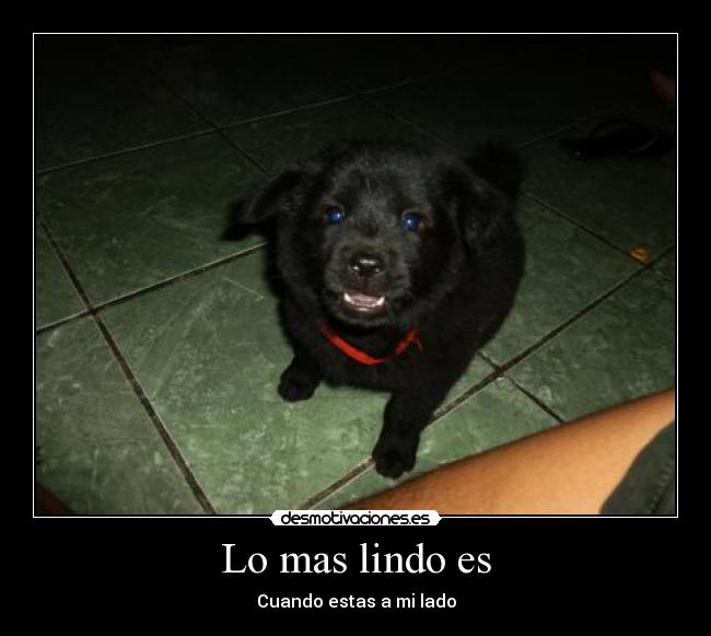 carteles luis desmotivaciones