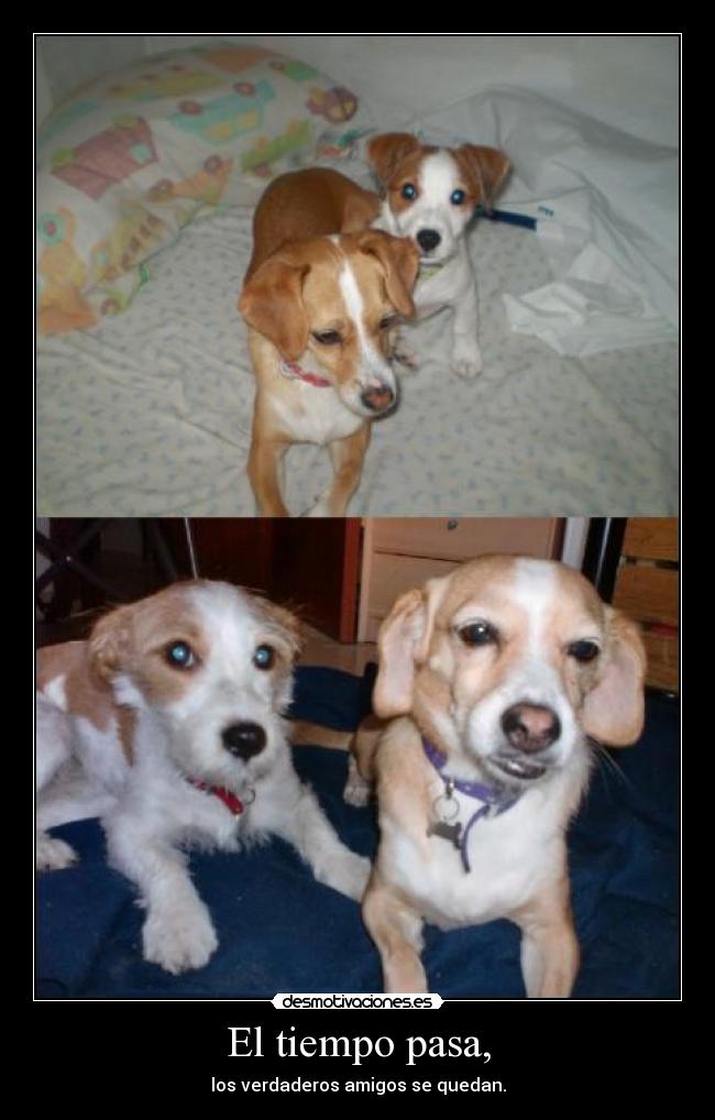 El tiempo pasa, - los verdaderos amigos se quedan.