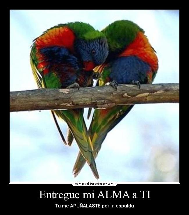 carteles alma dolor amor desmotivaciones