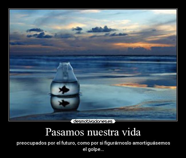 carteles vida tesacvvp amores sera una mierda anyway acaso hay una falta wtf desmotivaciones