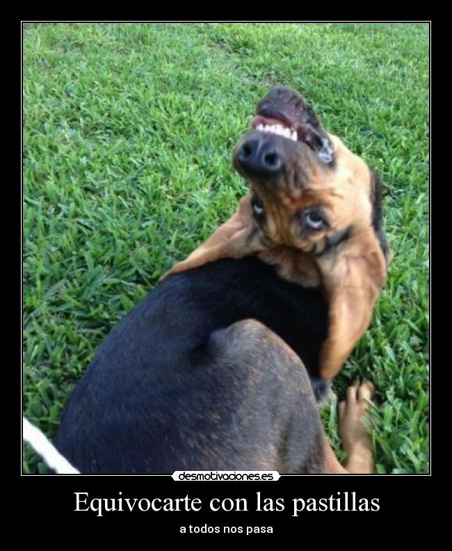 Equivocarte con las pastillas - 