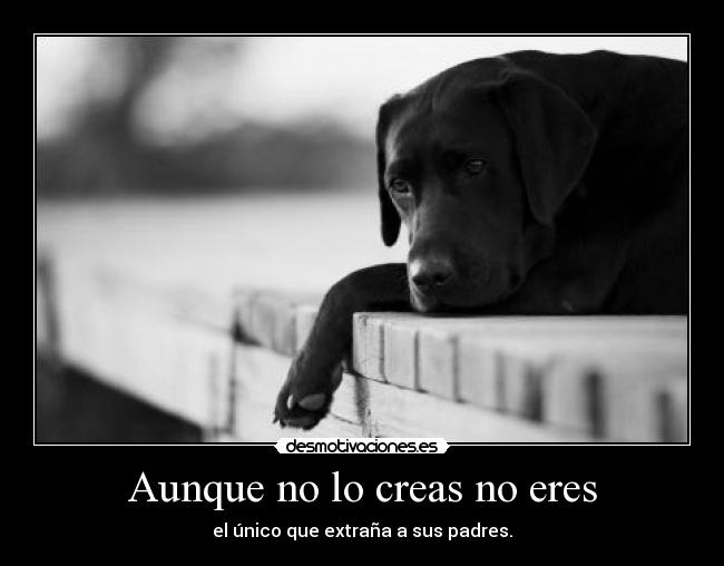 Aunque no lo creas no eres -