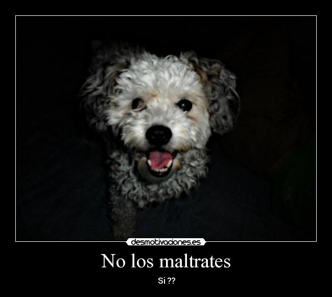 No los maltrates - Si ??
