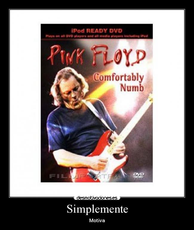 carteles pink floyd comfortably numb david gilmour the wall desmotivaciones