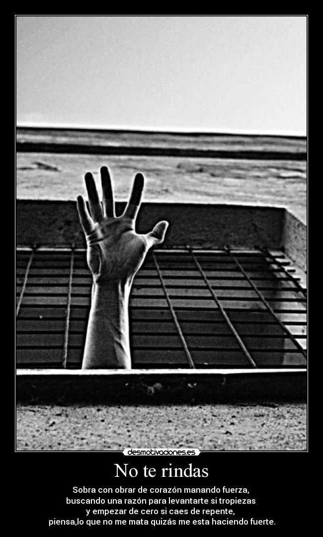 No te rindas - Sobra con obrar de corazón manando fuerza,
buscando una razón para levantarte si tropiezas
y empezar de cero si caes de repente,
piensa,lo que no me mata quizás me esta haciendo fuerte.