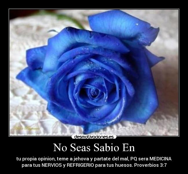 No Seas Sabio En - tu propia opinion, teme a jehova y partate del mal, PQ sera MEDICINA
para tus NERVIOS y REFRIGERIO para tus huesos. Proverbios 3:7