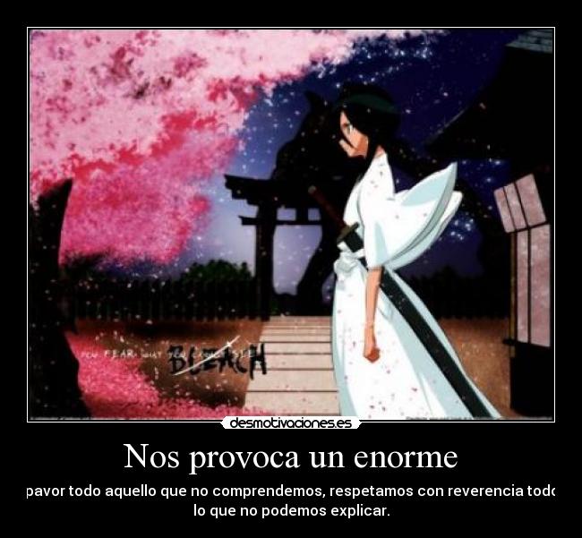 Nos provoca un enorme - pavor todo aquello que no comprendemos, respetamos con reverencia todo
lo que no podemos explicar.