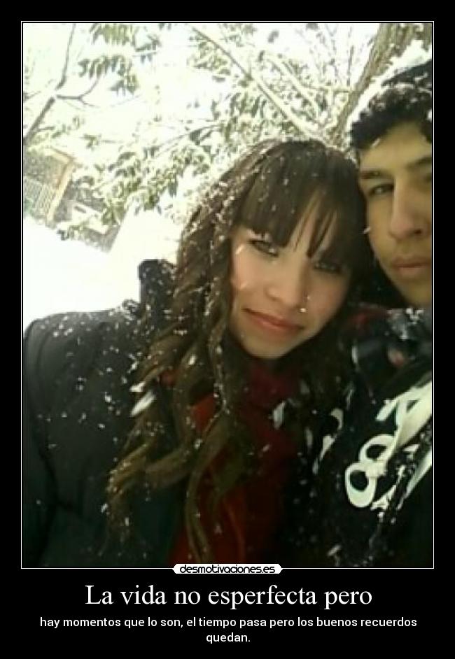 La vida no esperfecta pero -