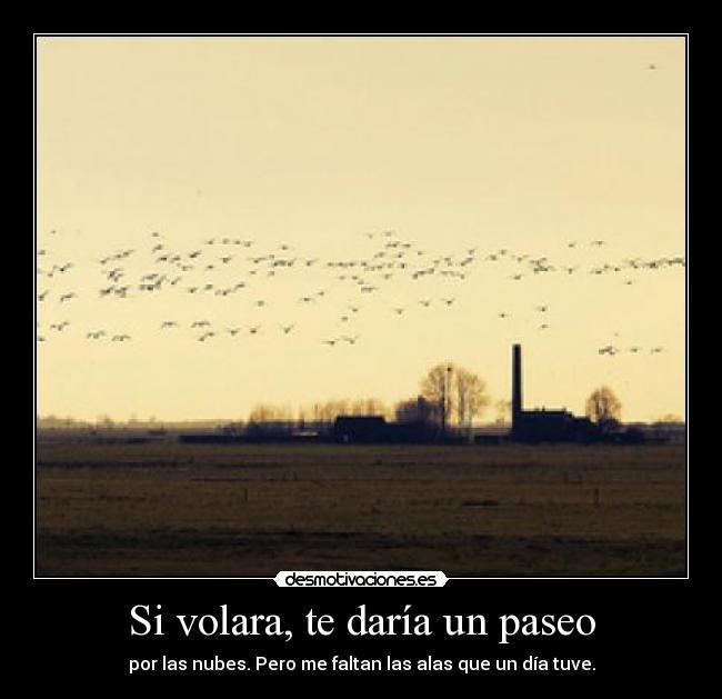 Si volara, te daría un paseo - 