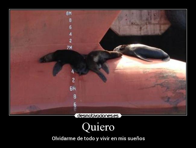 Quiero - Olvidarme de todo y vivir en mis sueños
