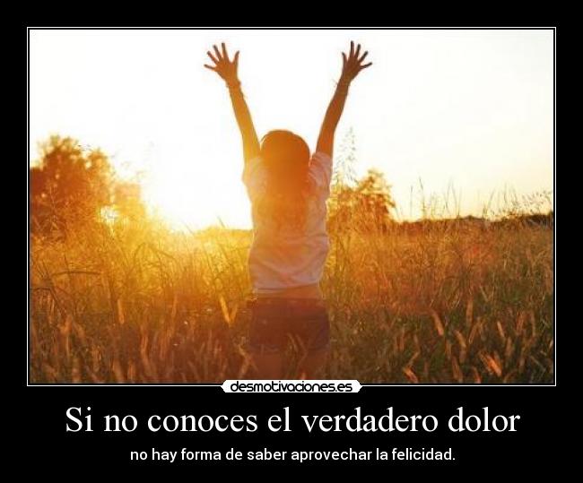 Si no conoces el verdadero dolor - no hay forma de saber aprovechar la felicidad.