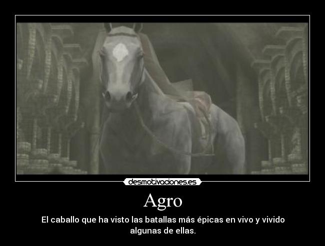 carteles agro wander shadow the colossus awesome epico caballo glorioso increible asombroso desmotivaciones